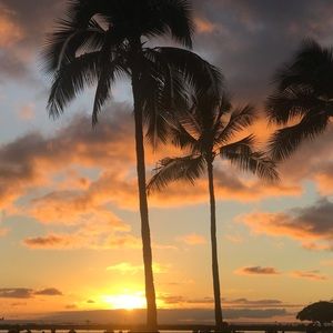 Meet your Posher, Hana